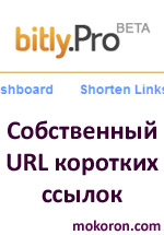 bit.ly pro
